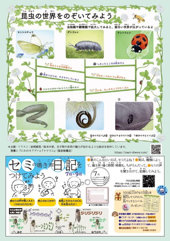 2025年7-9月のイベントカレンダーp2