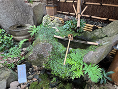 瀬田・水琴窟の音[すいきんくつのね]響く小さな森写真
