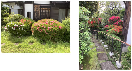 中町一丁目 とどろき縁側小さな森写真