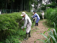 緑地の管理