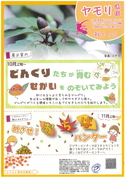 ヤモリ通信