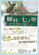 ヤモリ通信