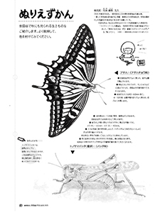ぬりえずかんアゲハとトノサマバッタ