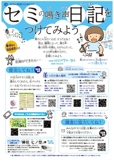 セミ日記