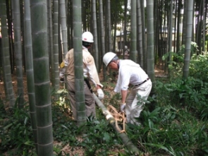 竹山ボランティアワークショップ活動様子