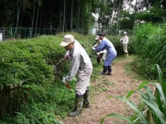 岡本・緑地ボランティア　活動様子