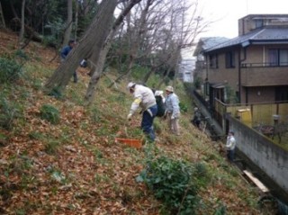 せたがや自然環境保全の会活動風景