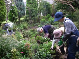 こもれびの庭市民緑地ボランティア