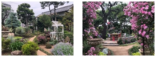 用賀・和みの庭小さな森写真