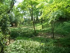 神明の森みつ池特別保護区 
