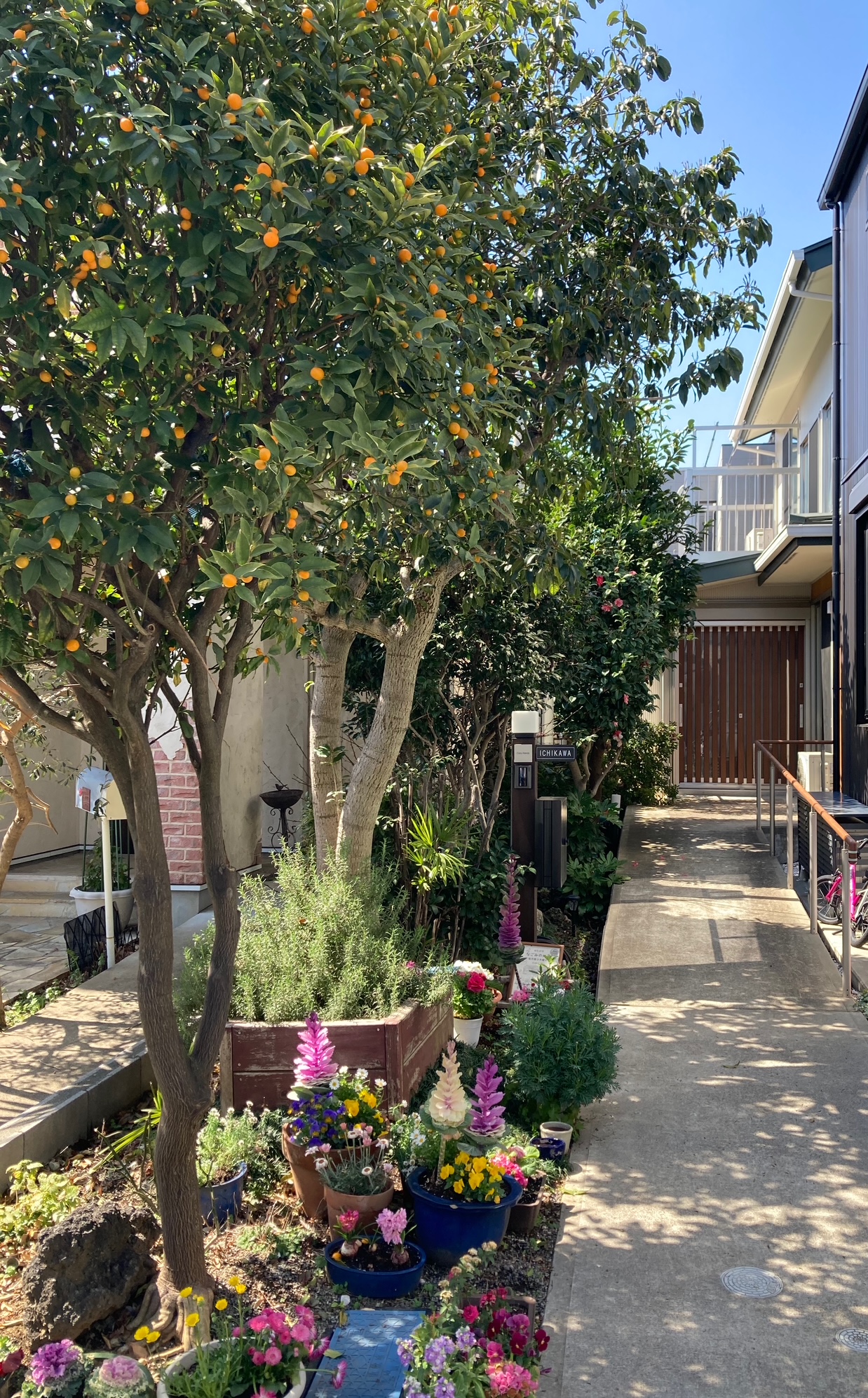 せたがや　なごみのいえ