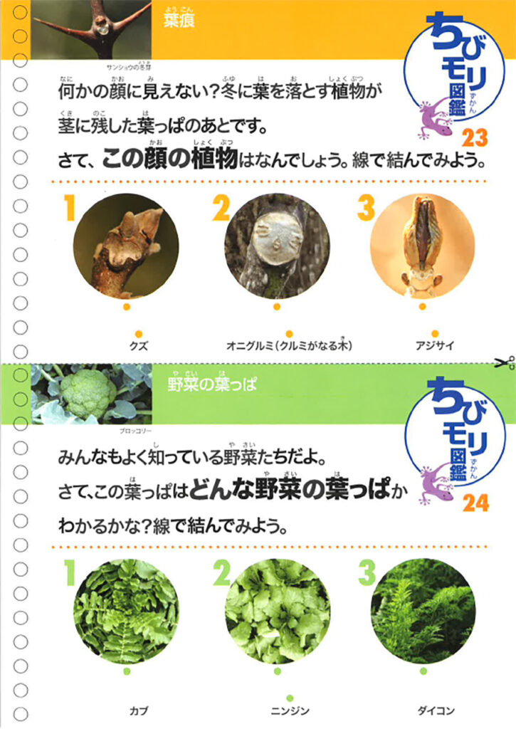ちびモリ図鑑(ずかん)の画像