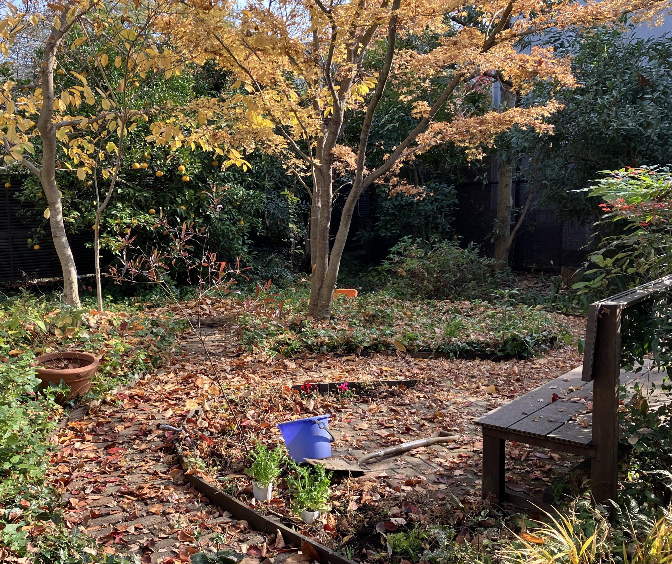 岡本三丁目小さな森画像