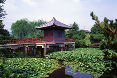 烏山弁天池特別保護区