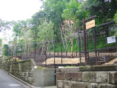 成城三丁目崖の林［はけのはやし］市民緑地