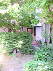 羽根木二丁目小さな森