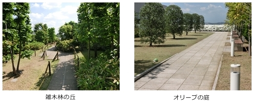 成城コルティ小さな森