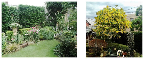 祖師谷四丁目小さな森