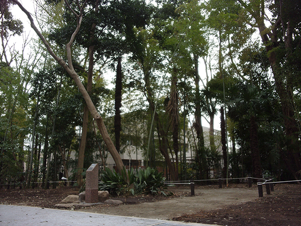 玉川台二丁目五郎様の森（ごろさまのもり）市民緑地