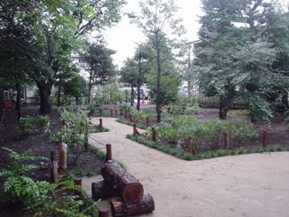 等々力七丁目うえきば市民緑地