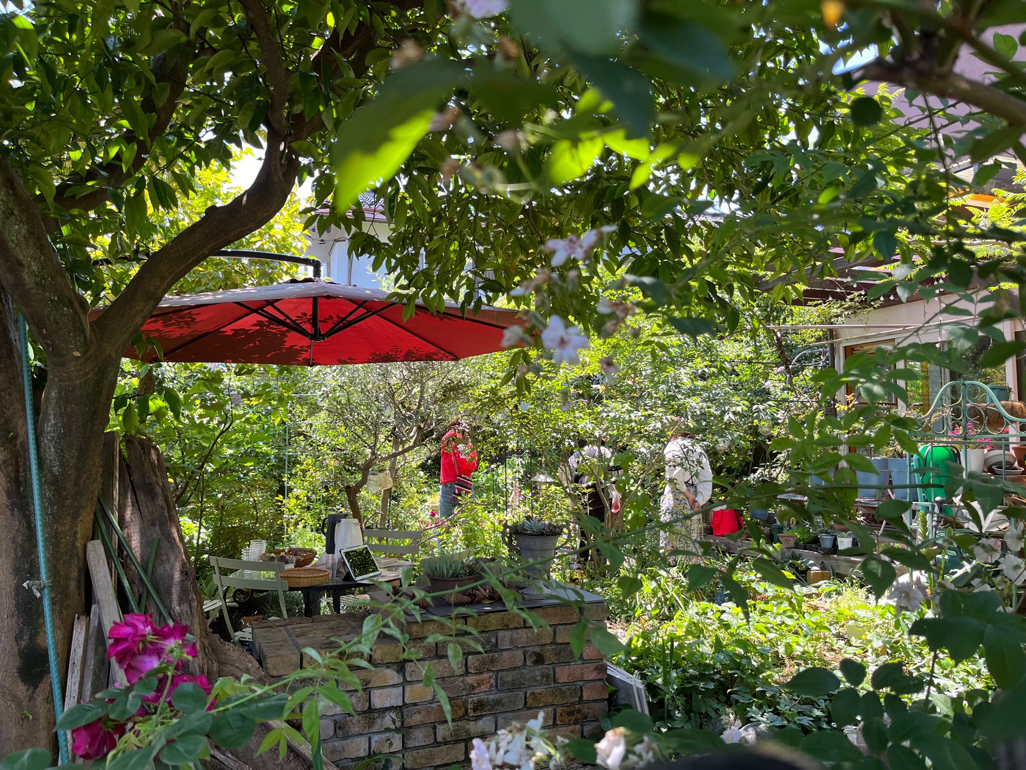 下馬・いのちがめぐる小さな森画像