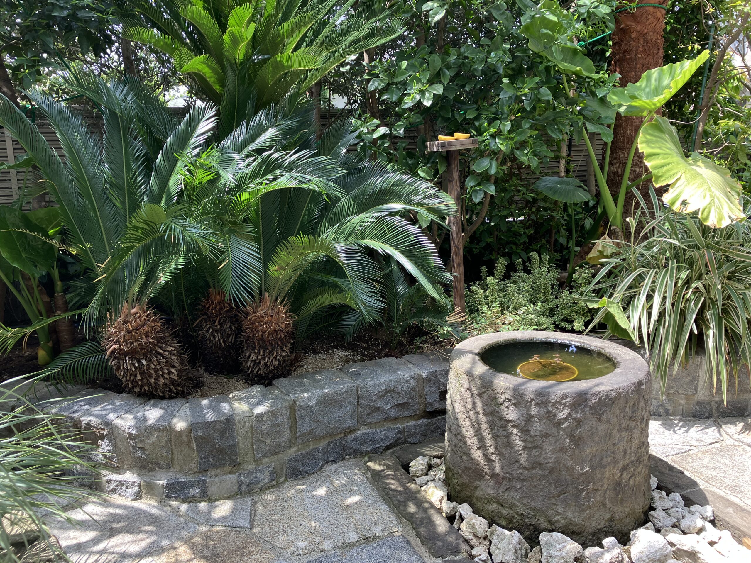 南烏山六丁目小さな森画像