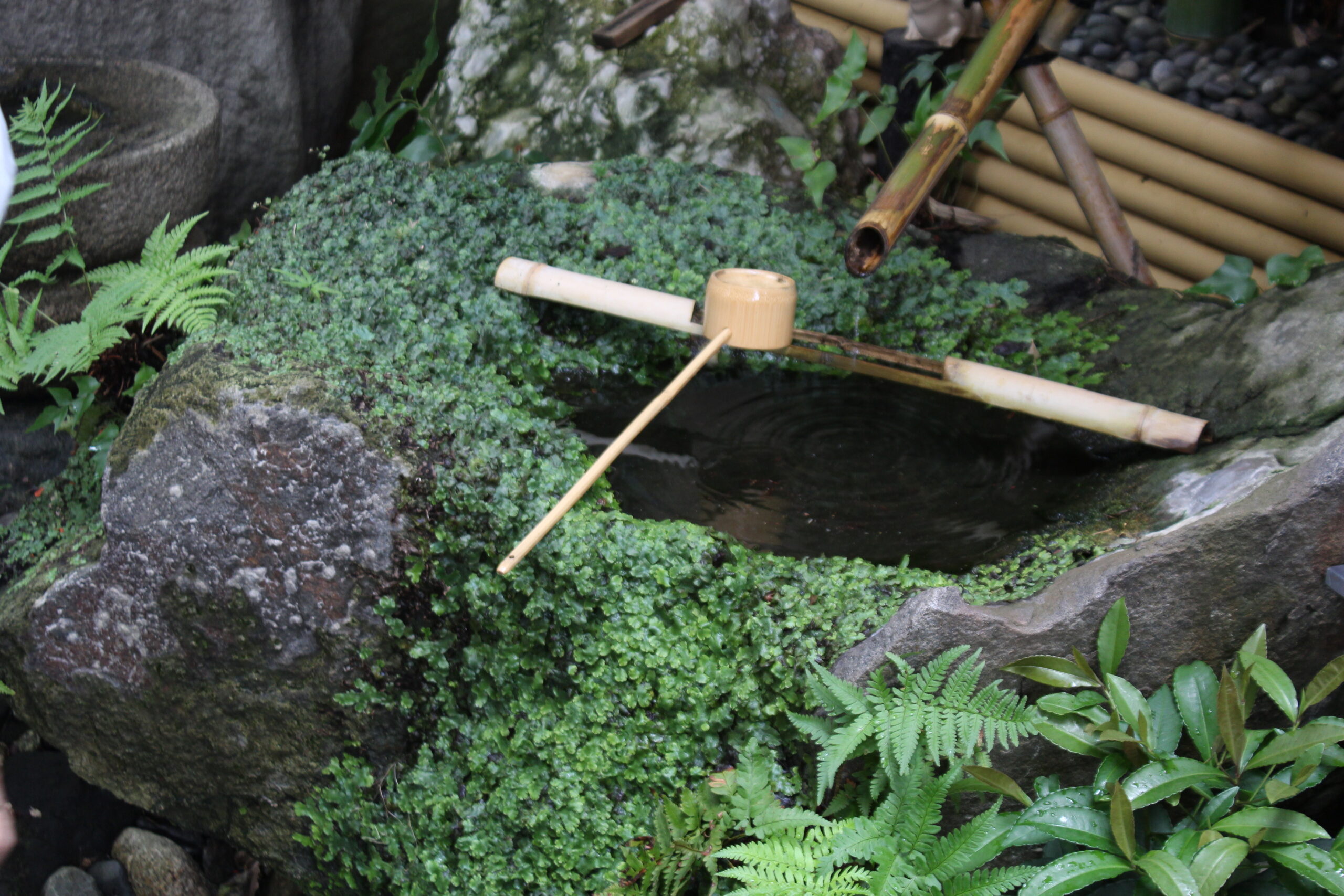 瀬田・水琴窟の音響く小さな森画像