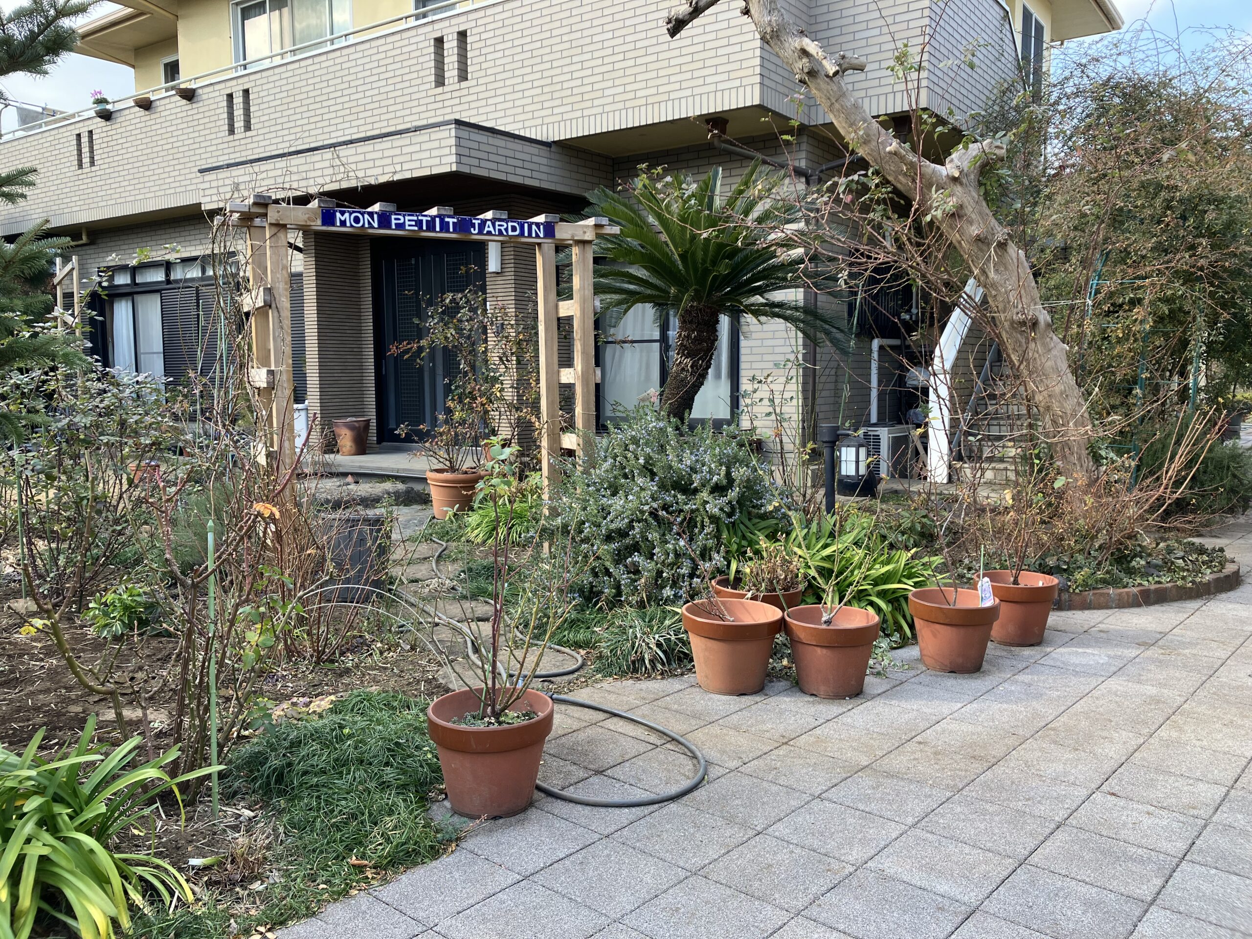 野毛一丁目 MON PETIT JARDIN 小さな森画像