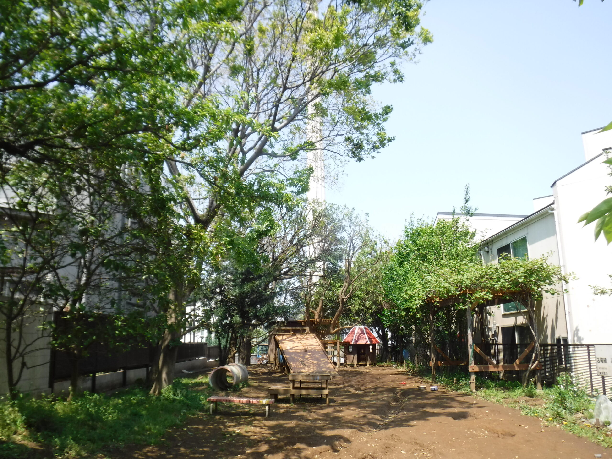 野沢3丁目テットーひろばの小さな森画像