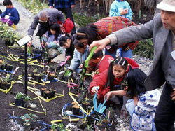 「北沢川緑道の水辺再生事業」のワークショップ