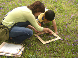 桜丘すみれば自然庭園のワークショップ