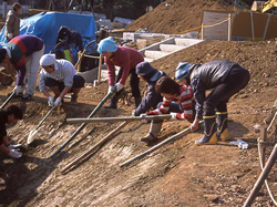 三宿の森緑地の整備