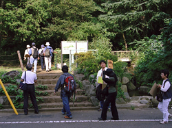 「国分寺崖線の魅力発見・向上プロジェクト」の計画