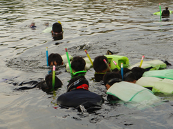 ジュニア・自然クラブ