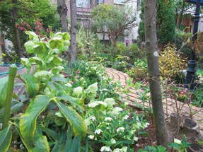 「松原四丁目小さな森オープンガーデン」の開催日は、3/6(金)から3/19(木)に変更となりました