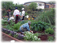 フラワーランド友の会の画像