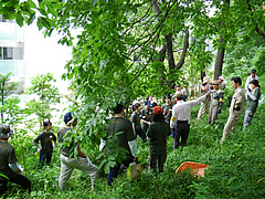 企業・団体ボランティア