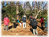 経堂五丁目特別保護区ボランティアの画像