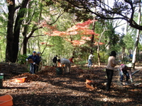 成城みつ池を育てる会の画像