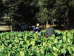 烏山みずとみどりの会