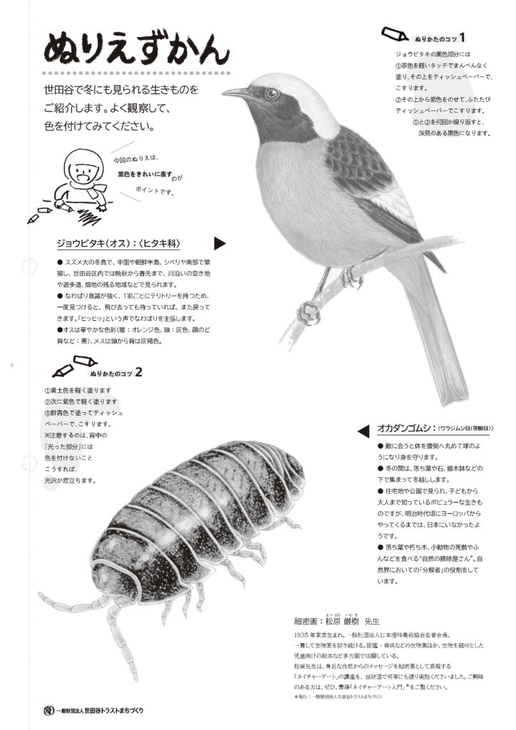 ぬりえずかん(ジョウビタキとオカダンゴムシ)の画像