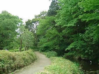 堂緑地の北側斜面（2004年4月撮影）