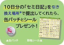 10日分の「セミ日記」を引き換え場所で提出してくれたら、缶バッチとシールプレゼント!の画像
