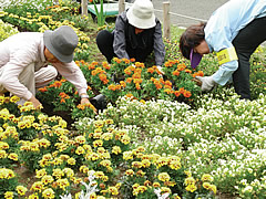 NPO法人芦花公園花の丘友の会