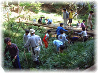 成城三丁目緑地里山づくりコア会議の画像