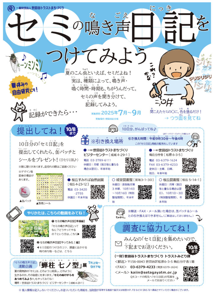 【参加のしかた】セミ日記の画像