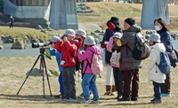 野鳥ボランティアの画像