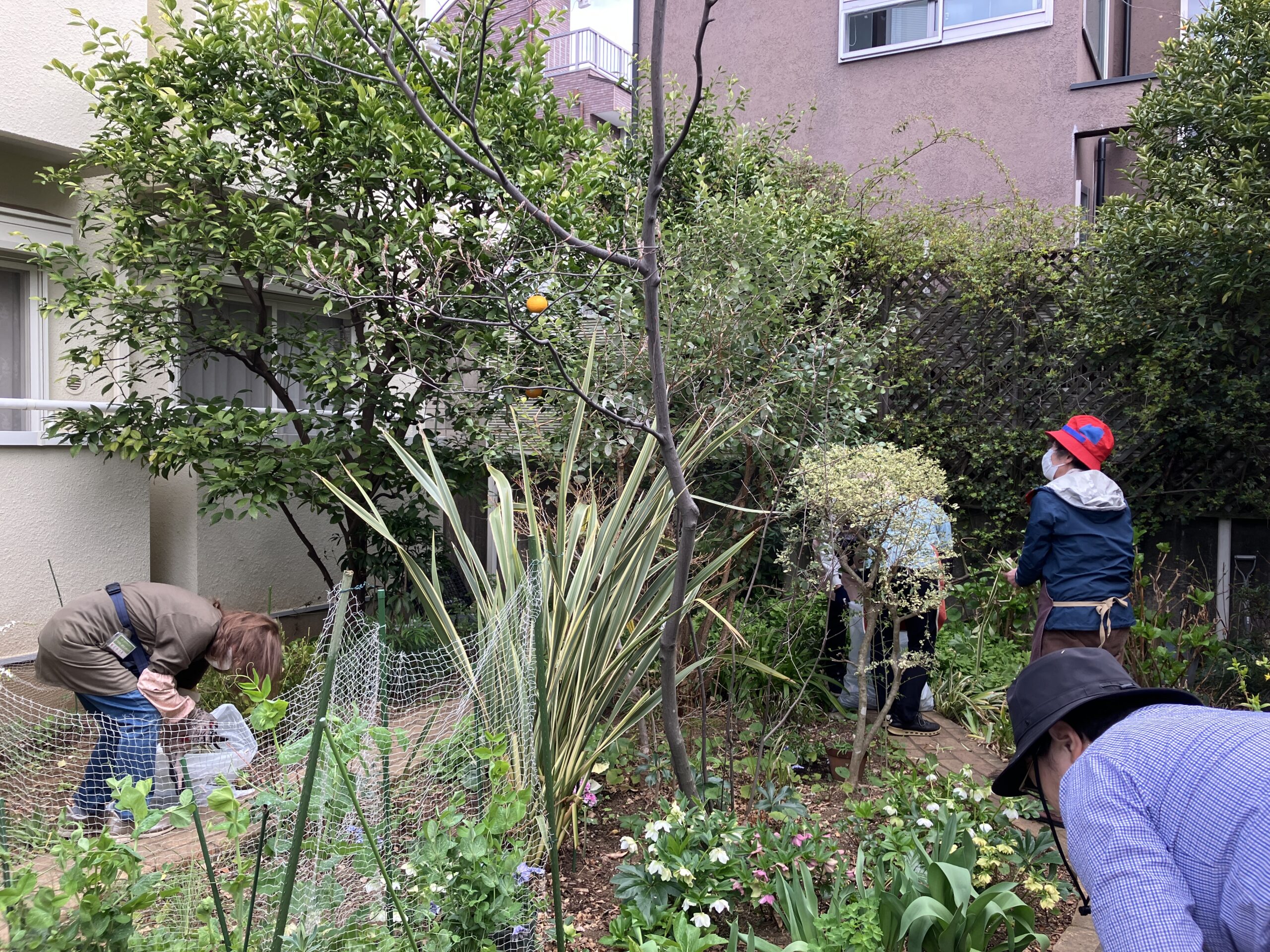 小さな森ボランティアの画像