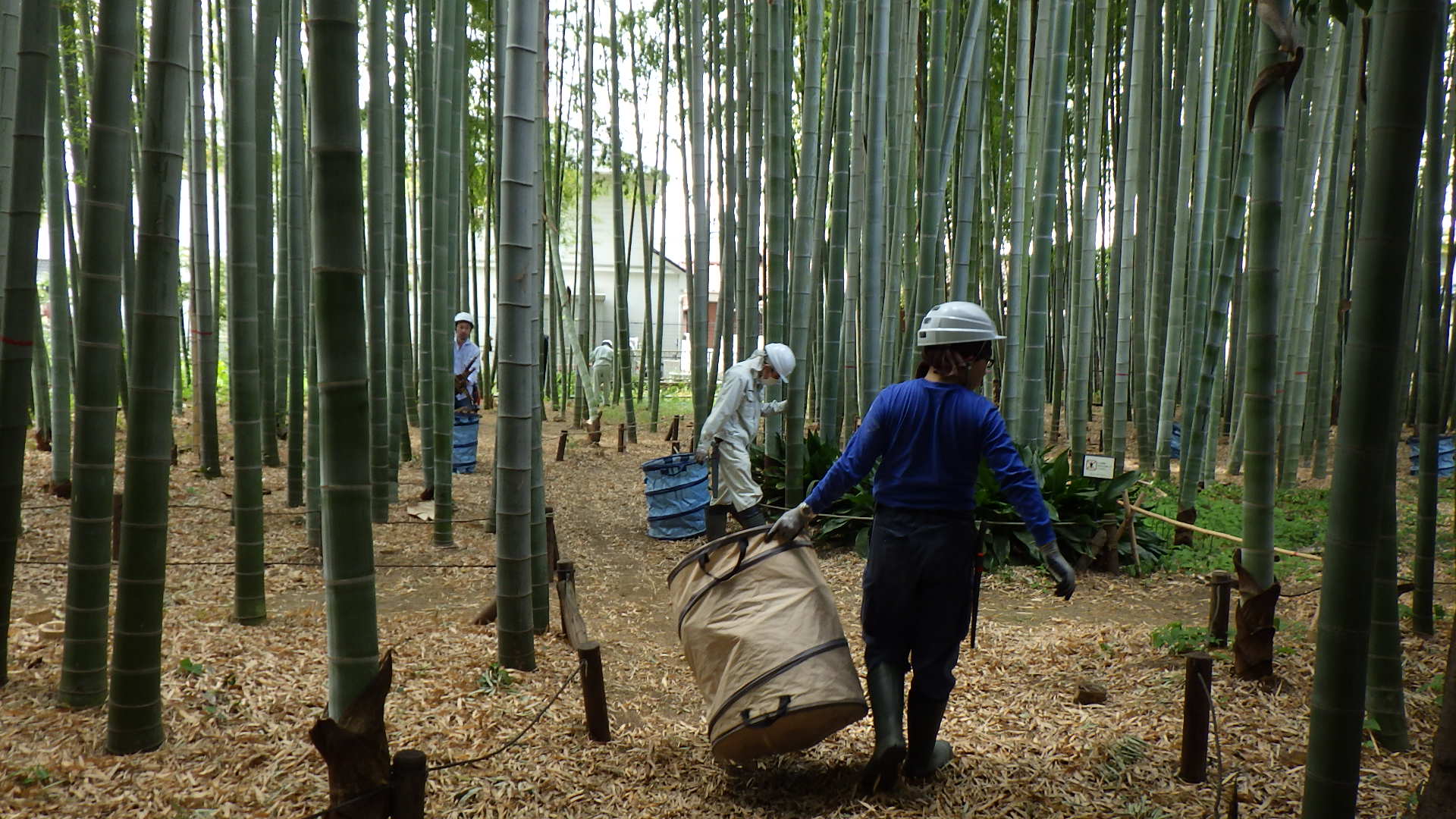 竹山ボランティアの画像