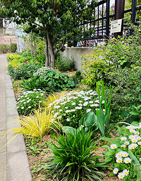 ナチュラリスティックガーデンの写真